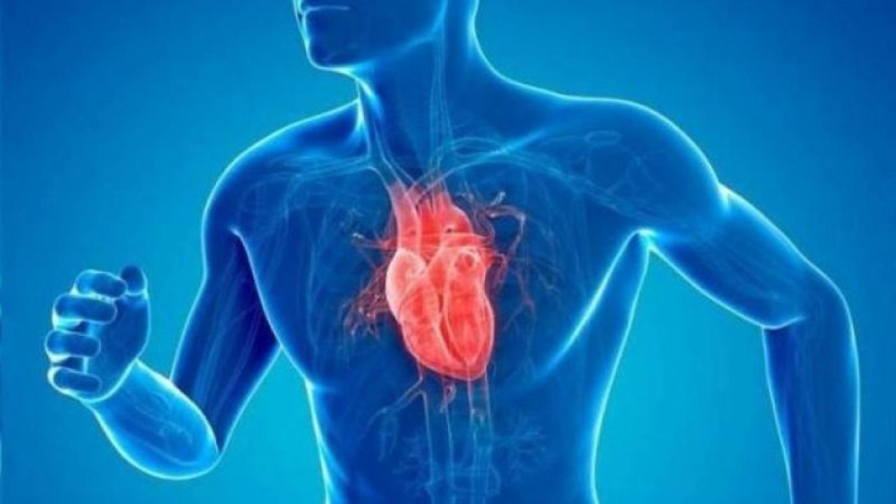 Kalp Sağlığı Hakkında Doğru Sanılan 10 Yanlış!