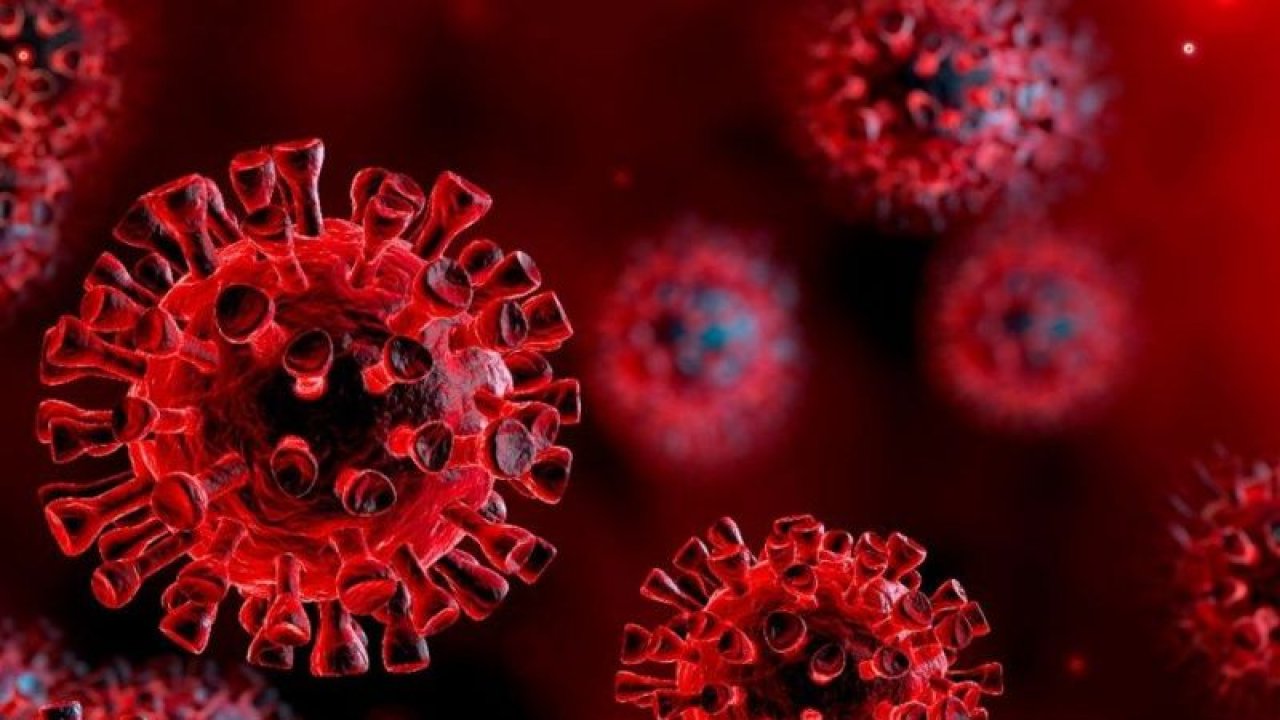 Koronavirüsün Yeni Yan Etkisi Keşfedildi