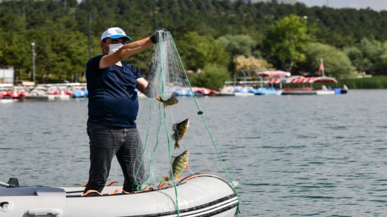Büyükşehir’den Su Haritası: Başkent’te Balık Türleri Keşfediliyor