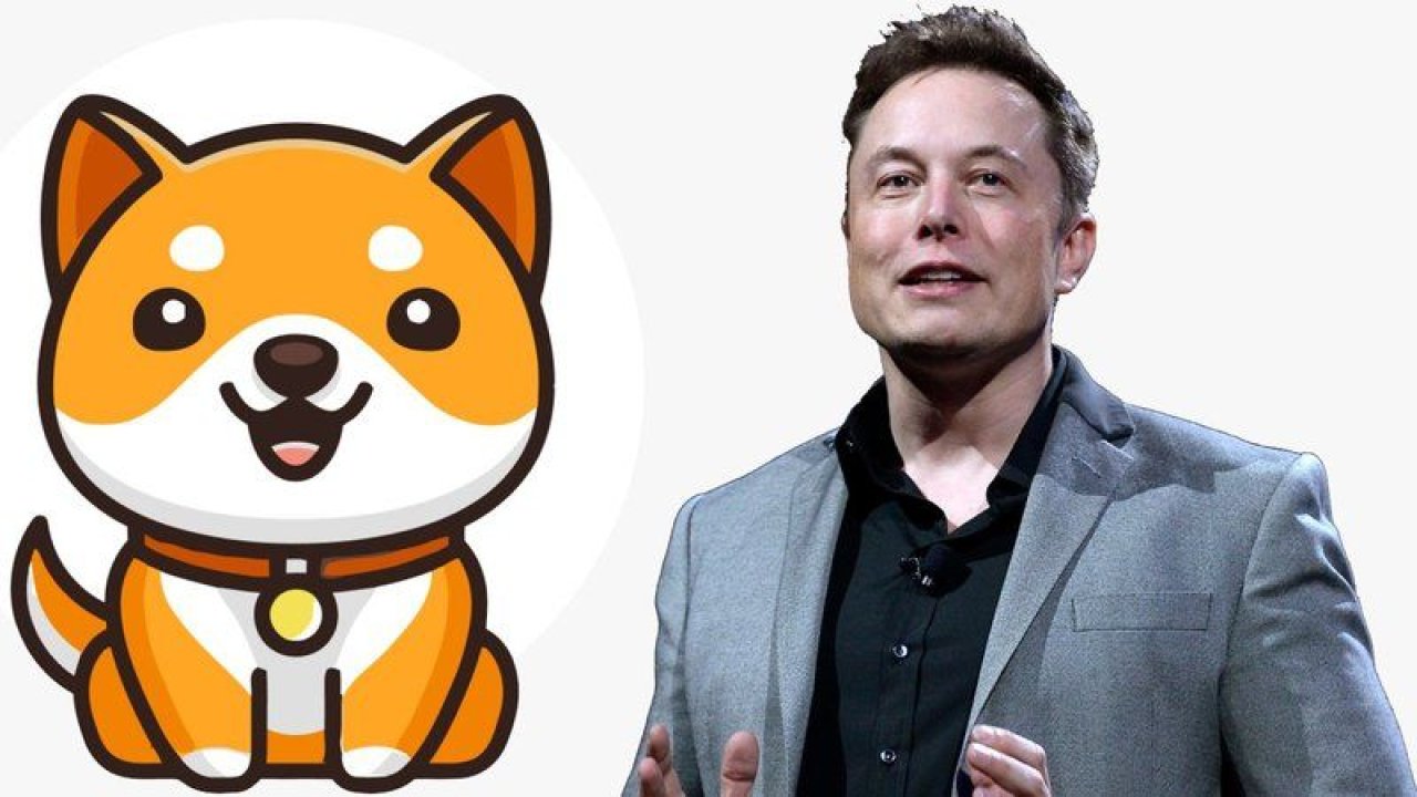 Elon Musk'ın Yeni Gözdesi Baby Dogecoin! Baby Doge Coin Nedir, Ne Değildir?