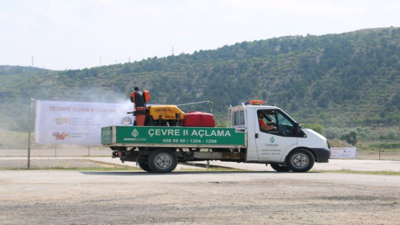 Çankaya Belediyesi Mühye Kurban Satış ve Kesim Alanı’nda Kurbanlıklara Gebelik Kontrolü