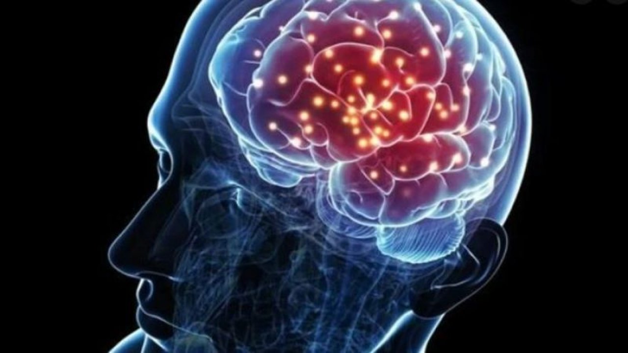 İklimin İnsan Bedeni Ve Beyin Büyüklüğü Üzerindeki Etkisi!