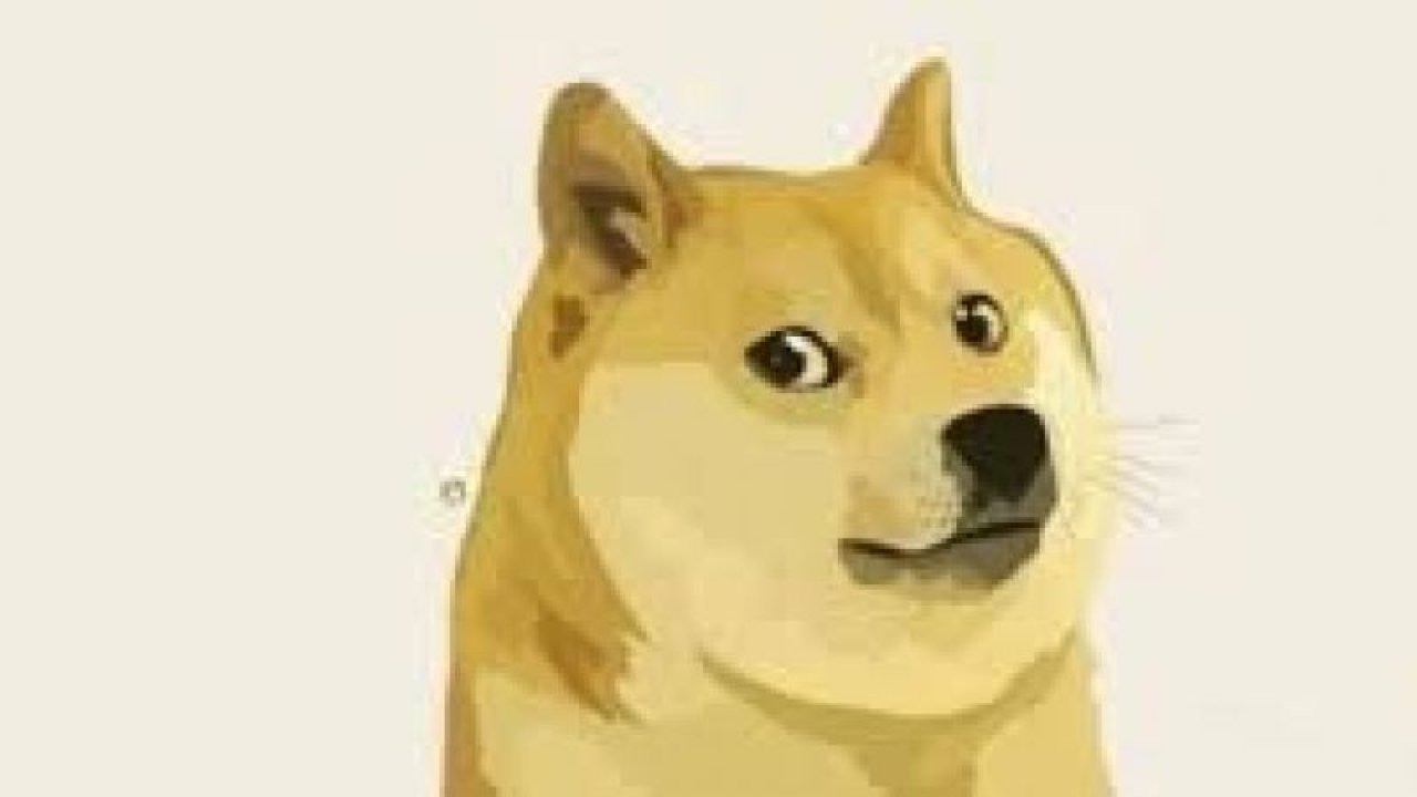 Dogecoin Milyoneri, DOGE'nin Temellerine Dair Tüm Detayları Açıkladı!