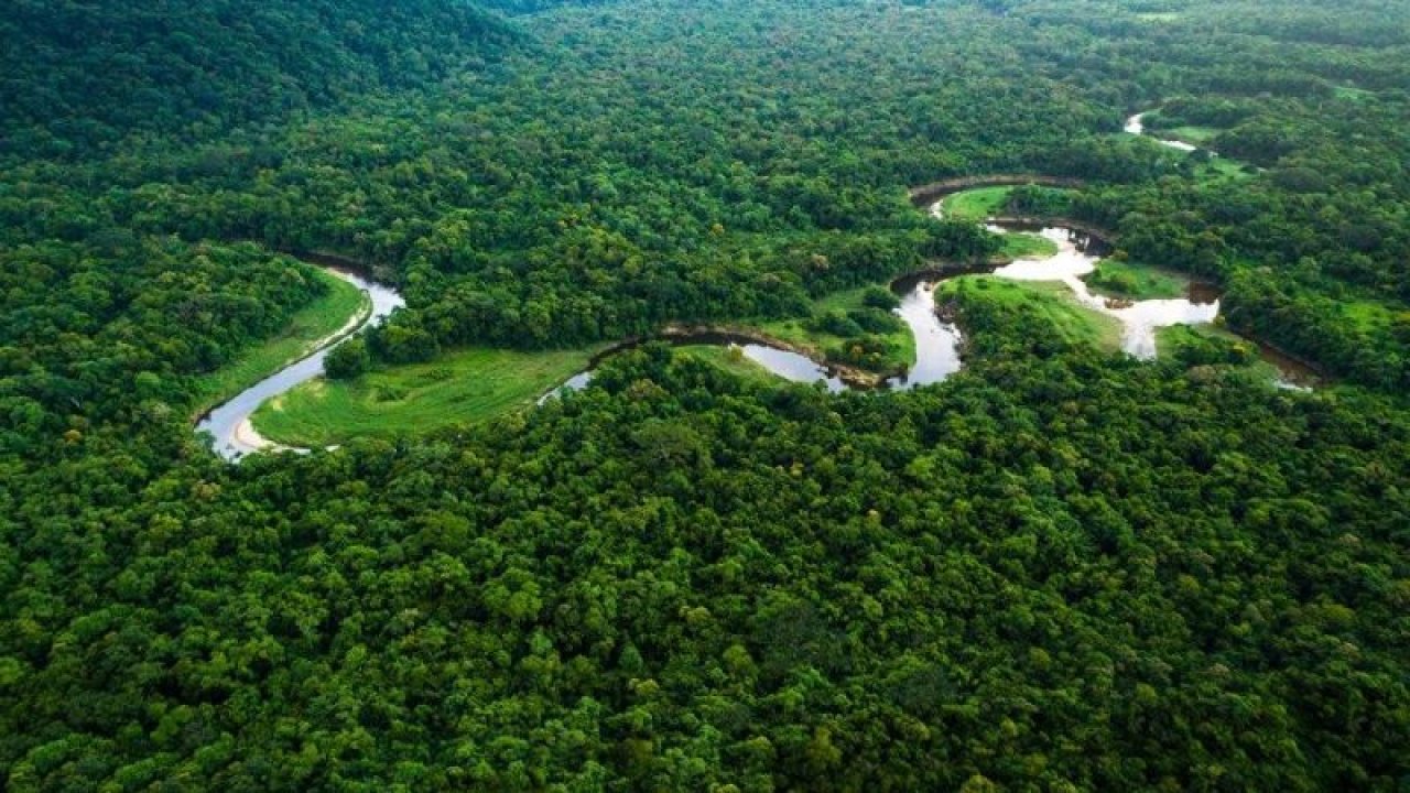 Araştırma Şok Etti! Amazon Ormanları Dünyaya Zarar Vermeye Mi Başladı?