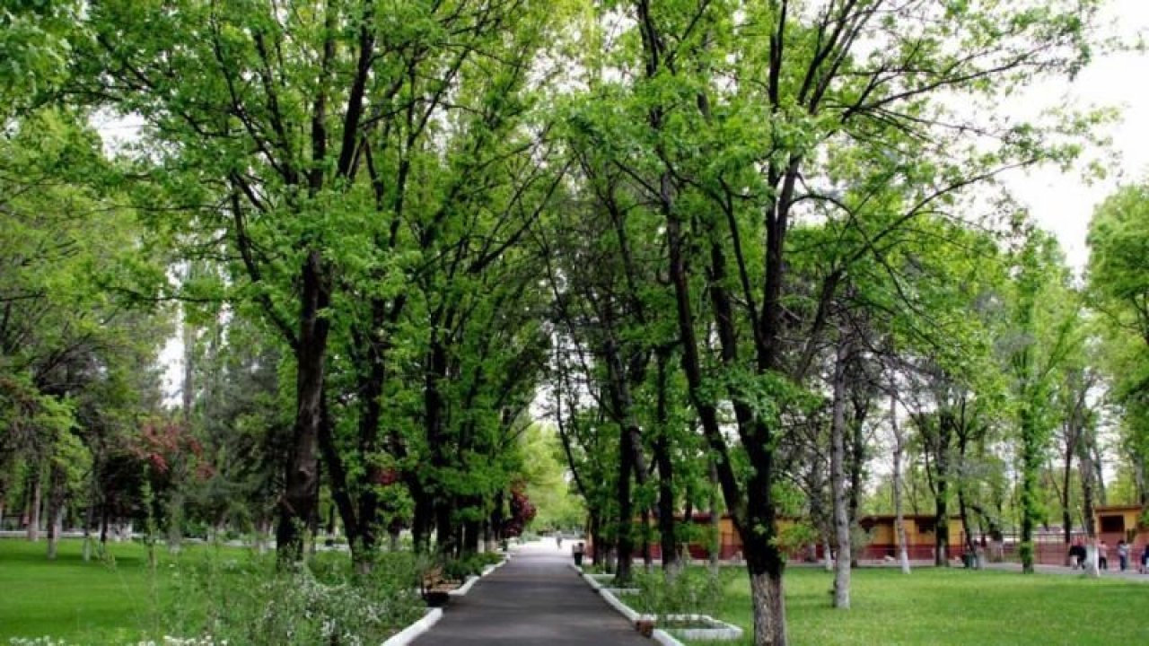 Ankarada Nerede Yürüyüş Yapılır? Ankara Anıttepe Koşu Parkuru Kaç Metre? Ankarada Hangi Parka Gidilir?