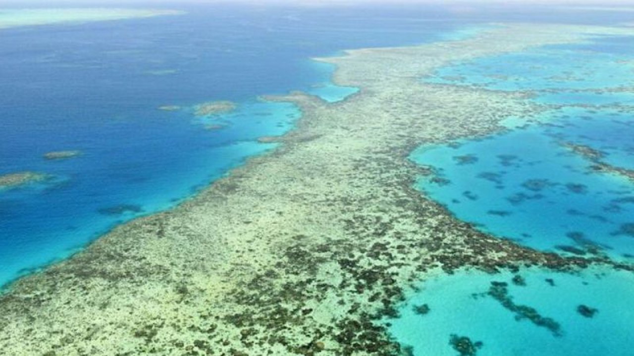 UNESCO, Büyük Bariyer Resifi’ni ‘Kırmızı Liste’ye Alacak