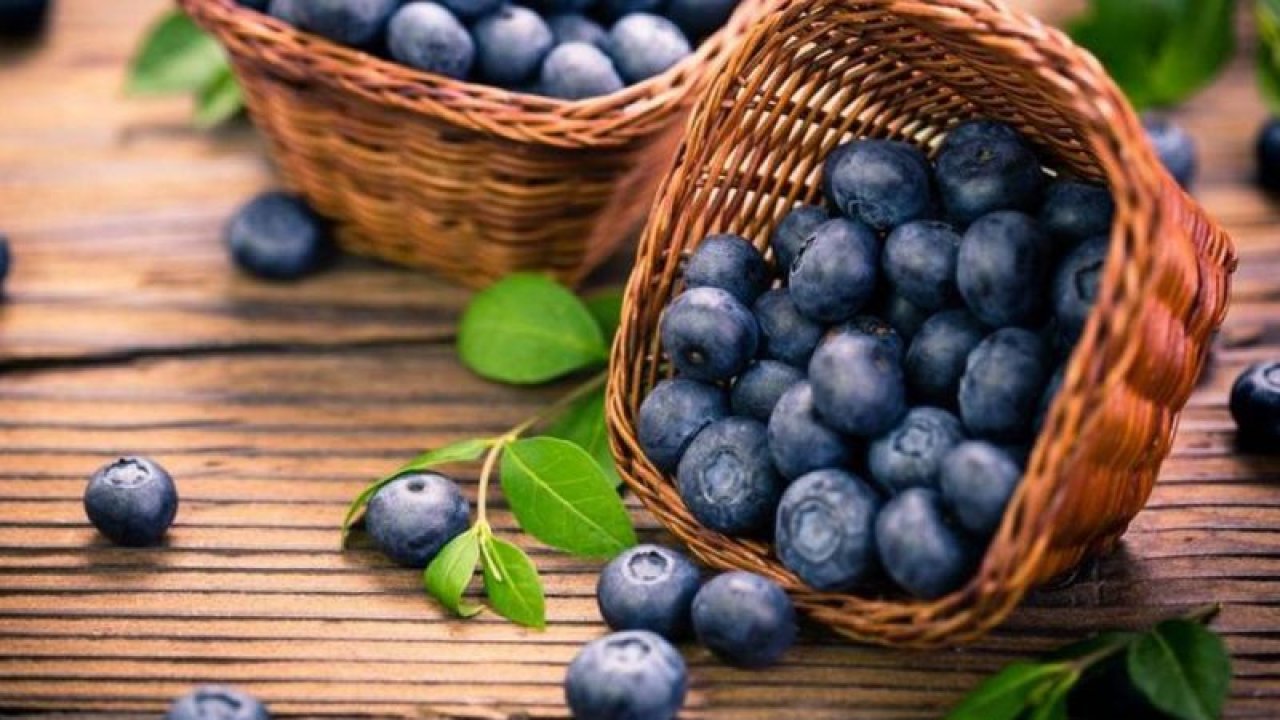 Blueberry (Yaban Mersini) ile Sağlığınızı Koruyun, Yaban Mersini Hangi Hastalıklara İyi Gelir?