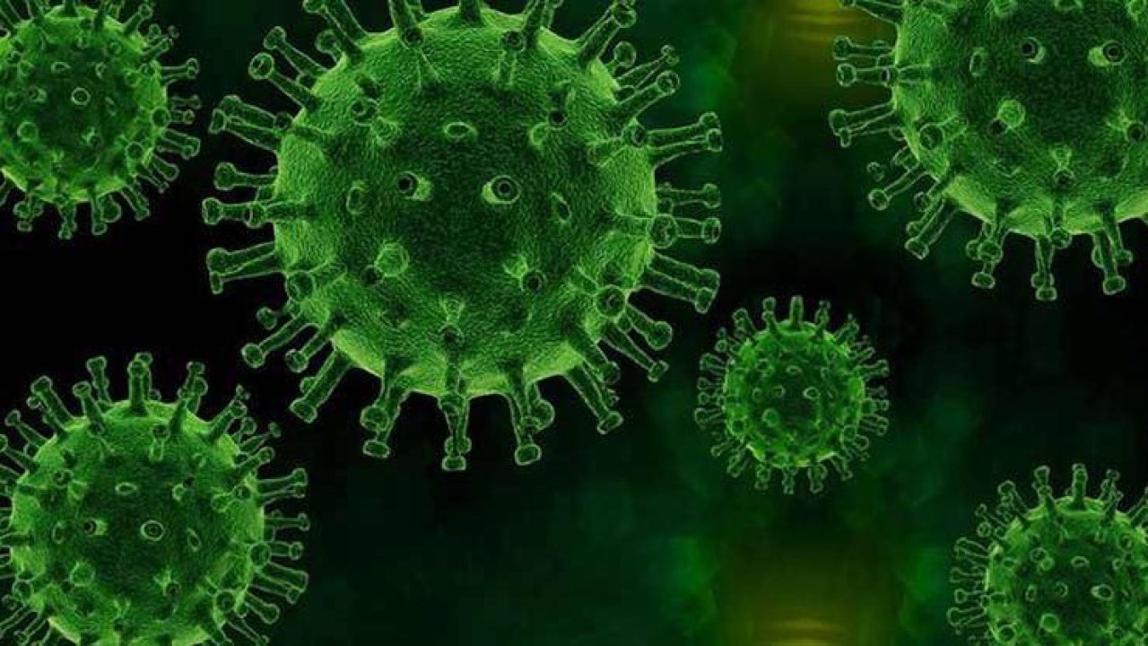 Ankara Koronavirüs Salgınında Skandal Nokta! Vaka Sayıları Aniden Artmaya Başladı, Görenler Tir Tir Titriyor! Sağlık Bakanı Koca Resmen Duyurdu! Meğer…