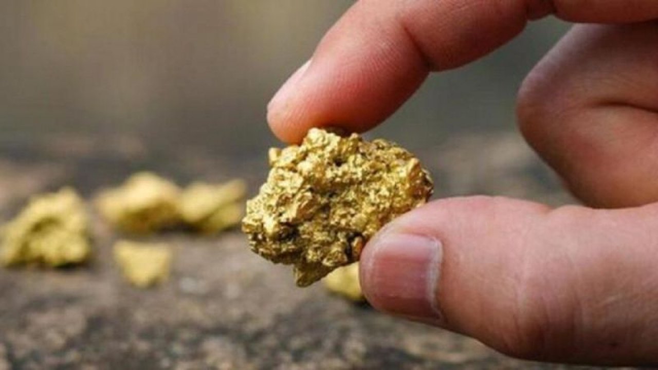 Türkiye’nin Altın’ Çağı 292 Ton Altın Keşfedildi, İşte Detaylar...