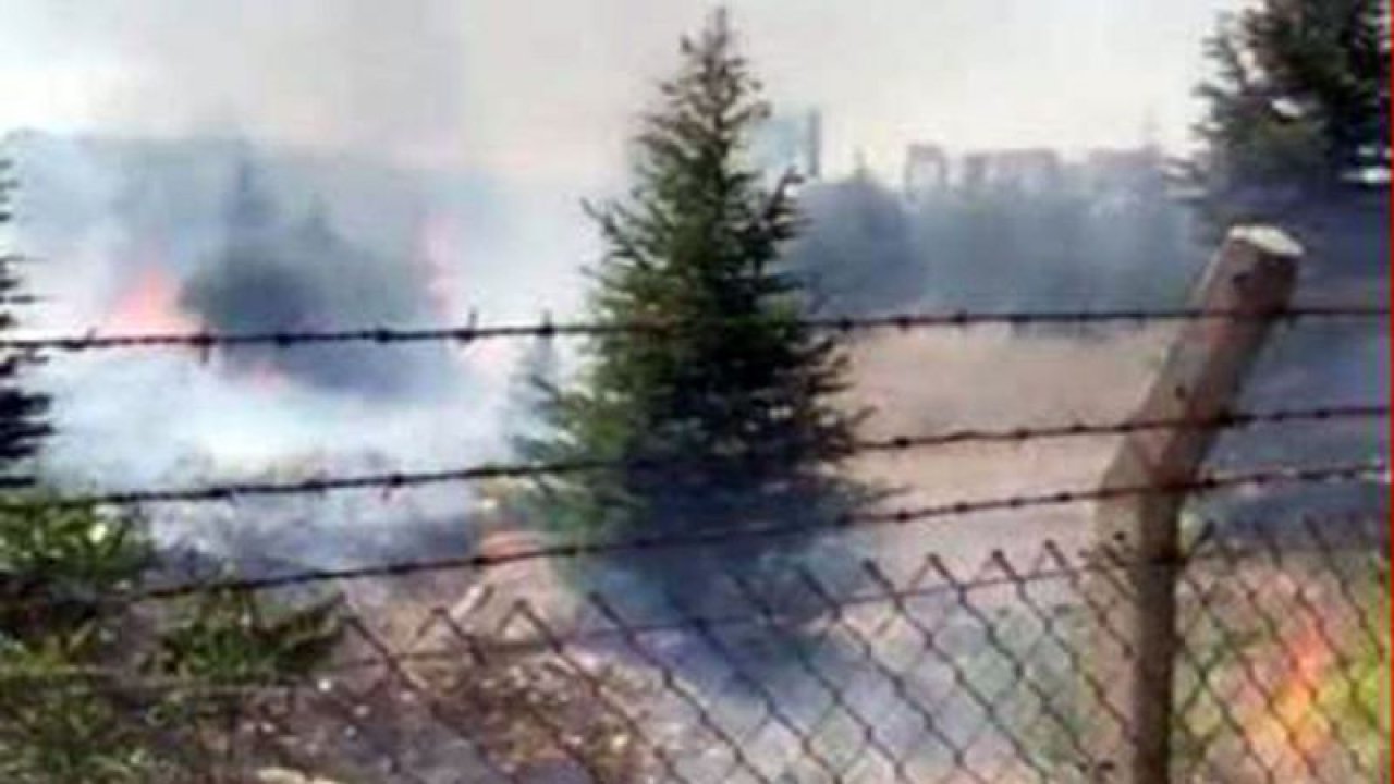 Ankara Atatürk Orman Çiftliği’ndeki yangın kontrol altına alındı