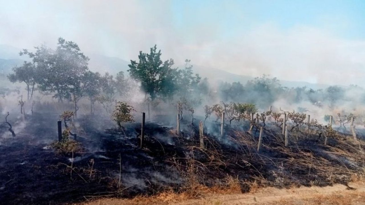 Yangından Etkilenen Yerler Afet Bölgesi İlan Edildi, 5 İlde Yangınlarla Mücadele Sürüyor