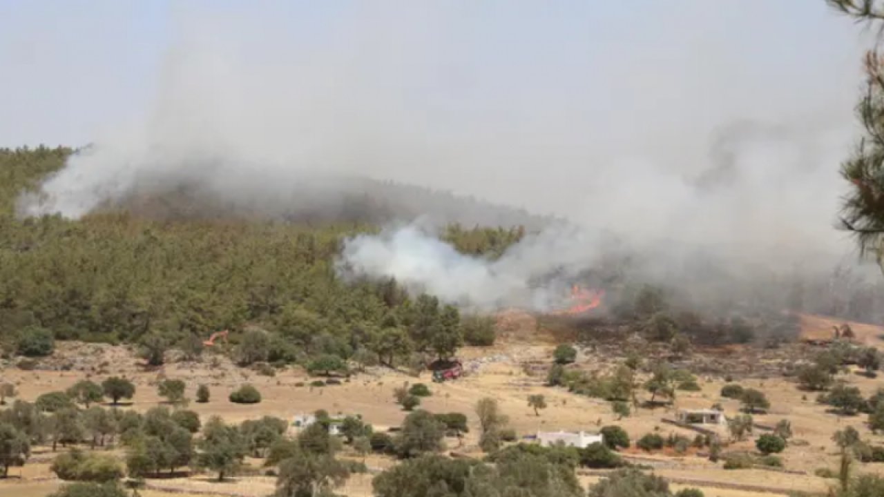 Türkiye'de Orman Yangınları 5 İlde 13 Yangına Müdahale Sürüyor