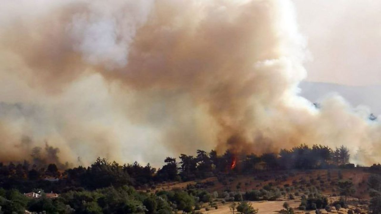 Bakan Pakdemirli'den Açıklama: Muğla'da 5 Noktada Yangın Sürüyor