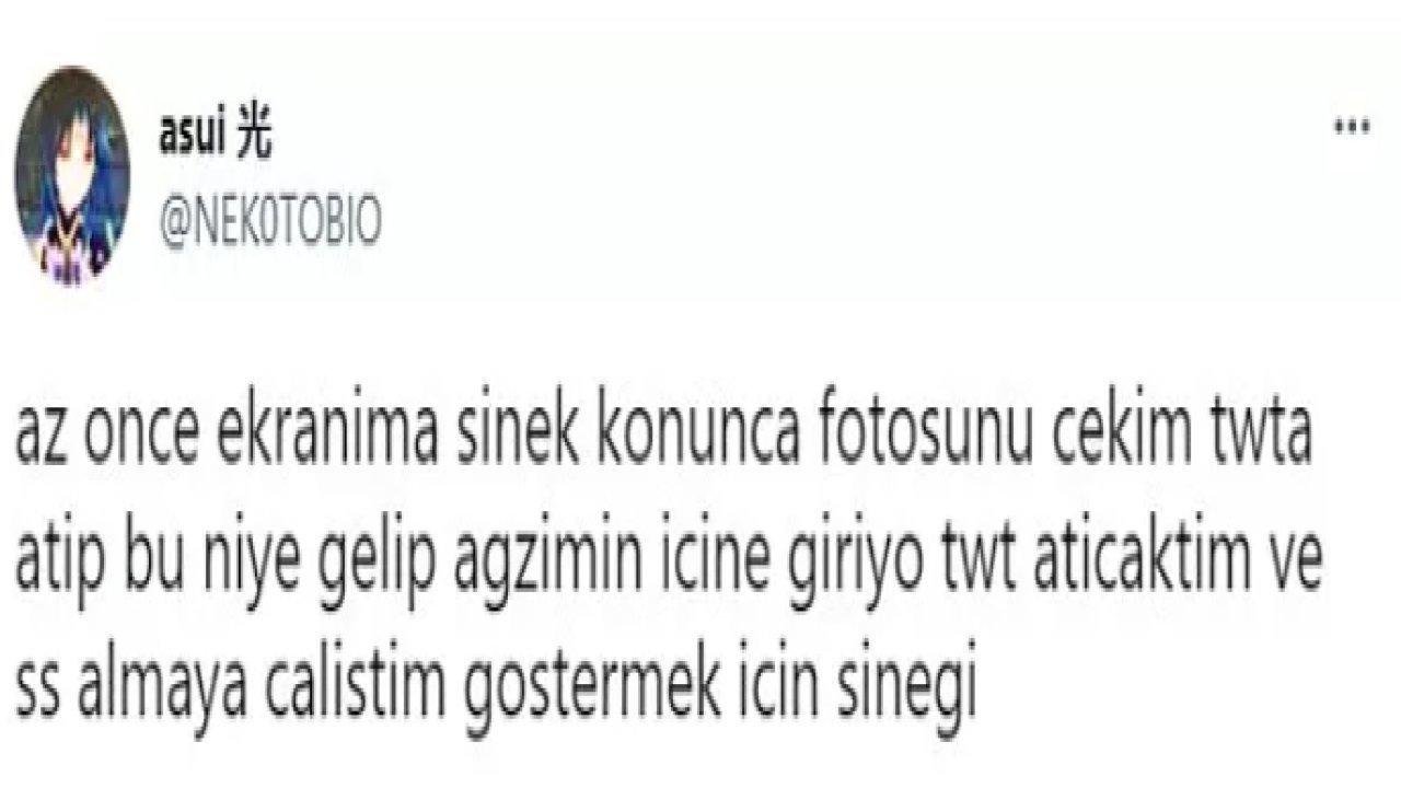 Twitter Kullanıcısının ‘’Gerizekalı mısınız?’’ Sorusuna Öyle Cevaplar Geldi ki; Görenler Gülmekten Kırıldı? İşte Herkesi Kahkahaya Boğan O Haberin Detayları…