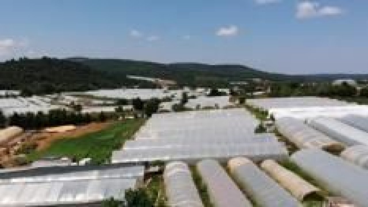 İstanbul’un sebze ve meyvesi Göçbeyli Köyün’nden