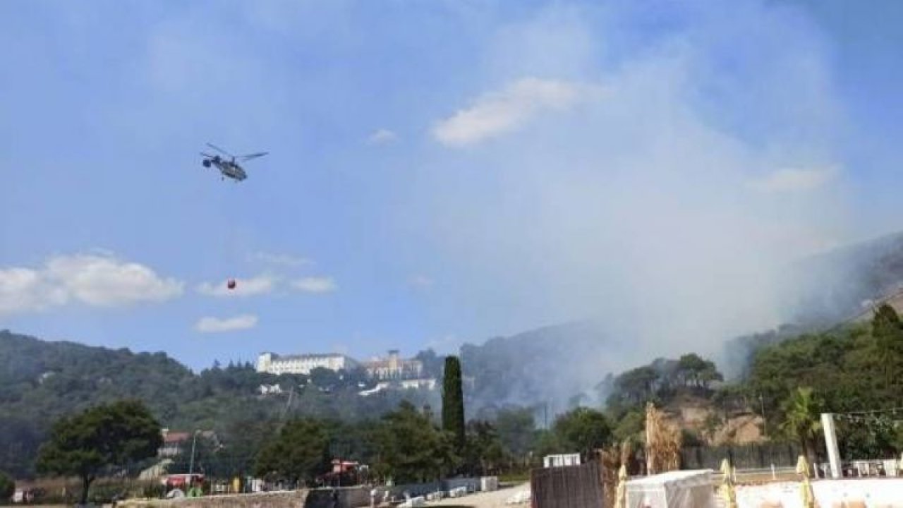 Heybeliada'da Orman Yangını Büyüyor! Yangına Havadan ve Karadan Müdahale Sürüyor