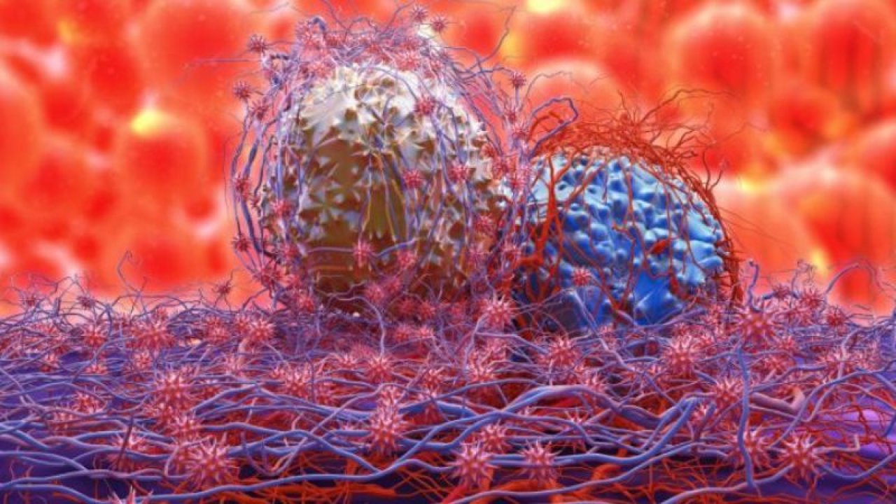 Kanser Hücreleri Her İnsanda Var mı? Kanser hücreleri ne ile beslenir? Kanser hücreleri nasıl yok edilir? Kanser hücreleri neden hızlı çoğalır?