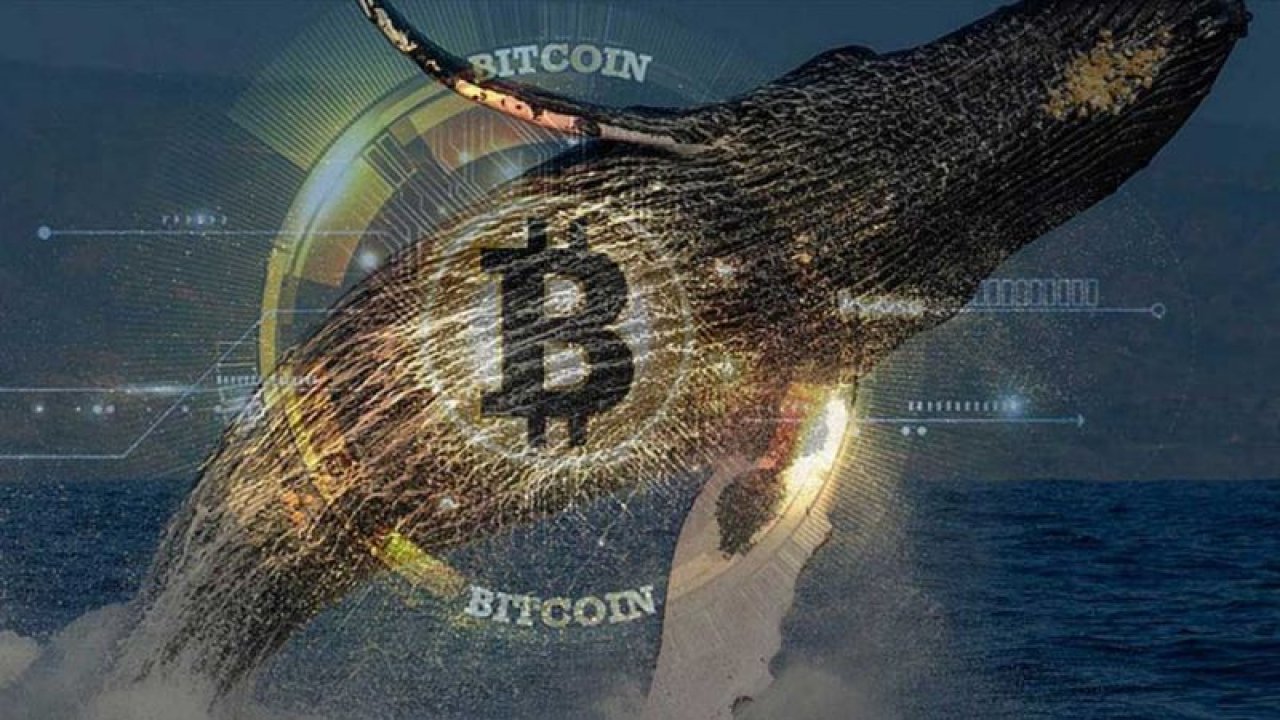 Bitcoin Balinaları Tekrar Harekete Geçti: 2 Milyar Dolardan Fazla BTC Taşındı!