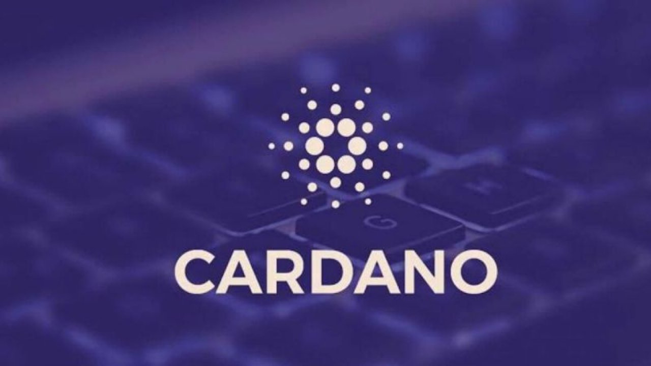 Cardano İçin Beklenen Platform Hazır! İşte Detaylar...