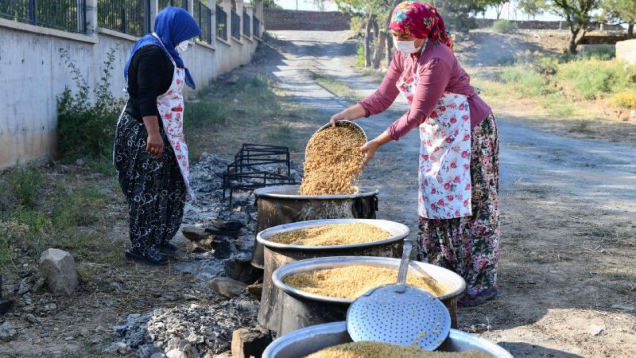 Ankara'da ilk hasadın buğdayları kazanlarda kaynatılmaya başlandı