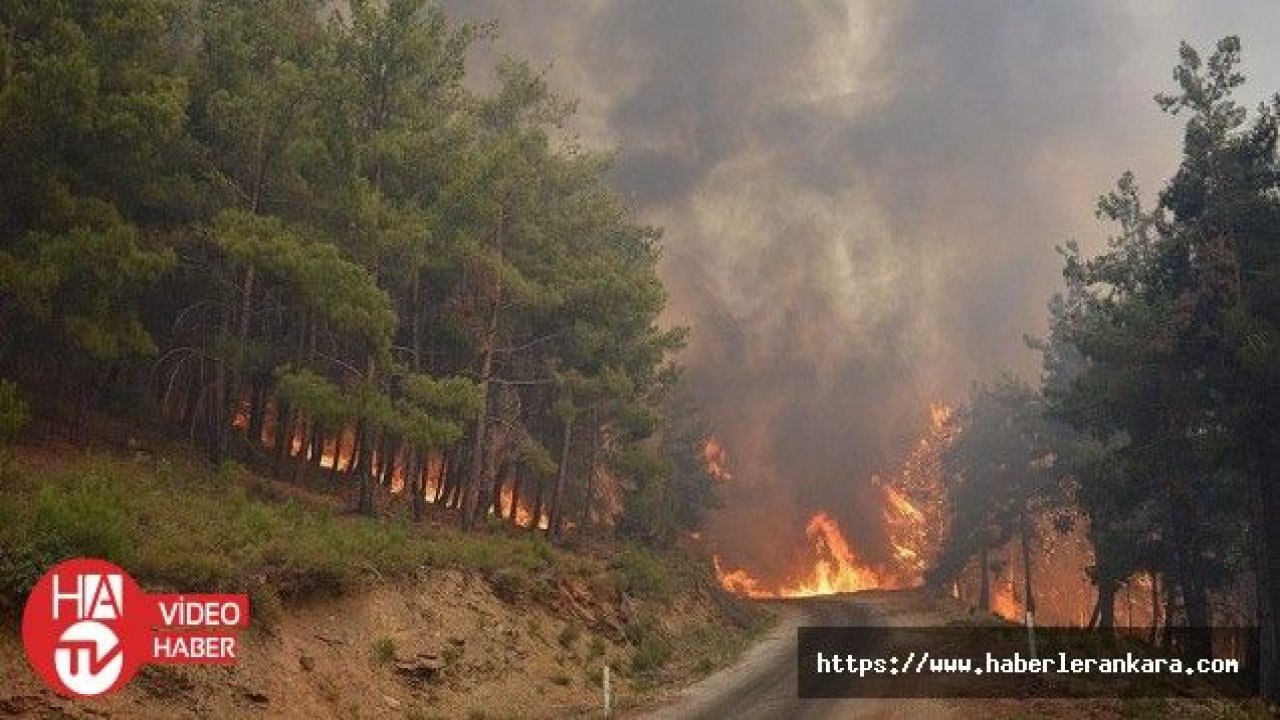 Orman yangınlarıyla mücadeleye çalışma saati kriteri