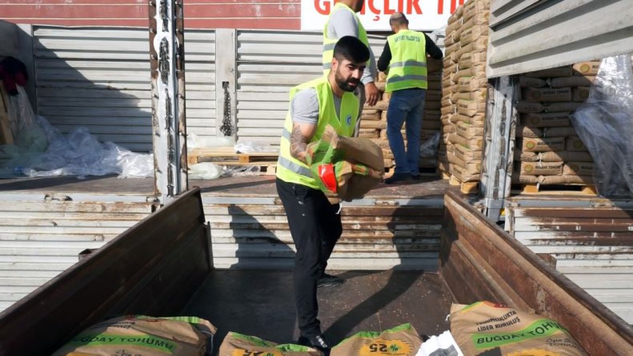 Akyurt belediyesi 500 çiftçiye 450 ton tohum dağıttı