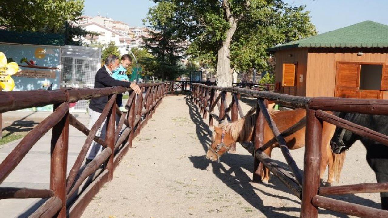 Keçiören Belediyesi Doğal Yaşam Parkı’na büyük ilgi