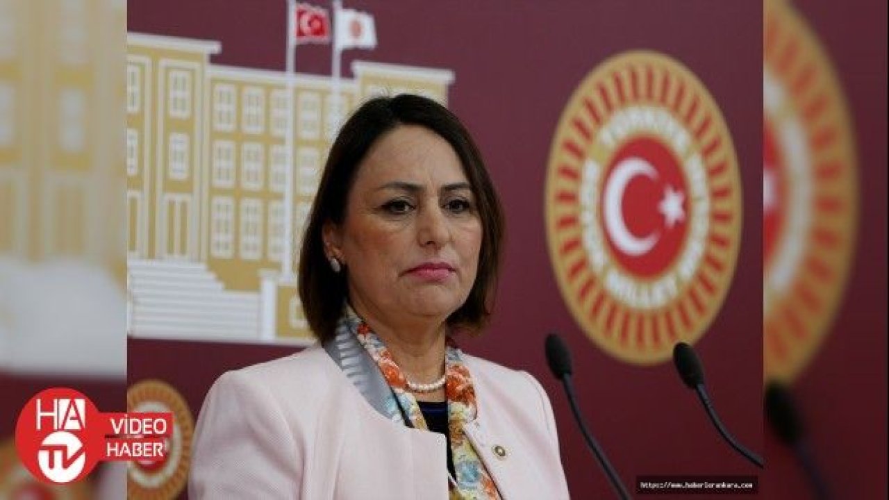 CHP Adana Milletvekili Müzeyyen Şevkin: