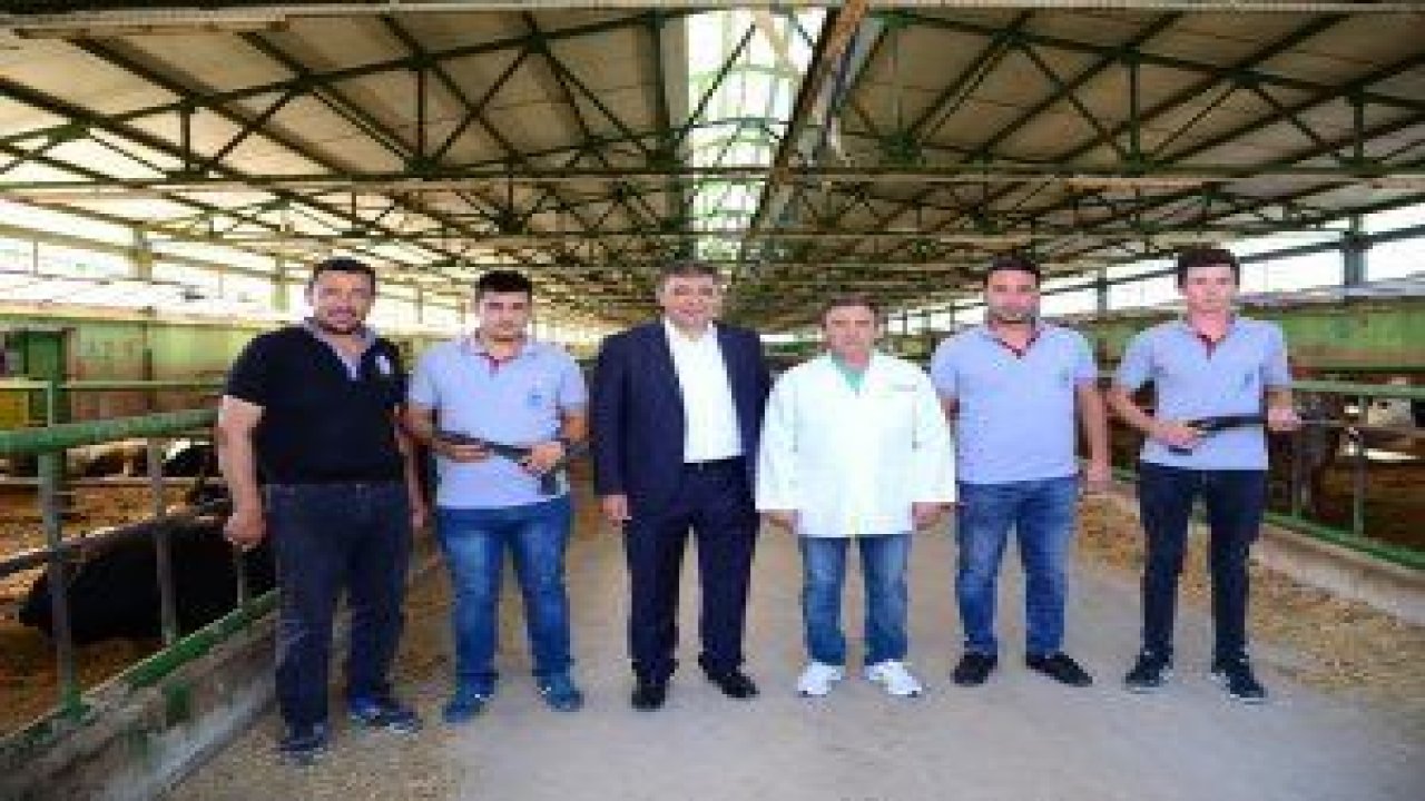Kahramankazan Belediyesi, Kurban Bayramı’nda kaçan kurbanlık hayvanları yakalamak için özel tim kurdu
