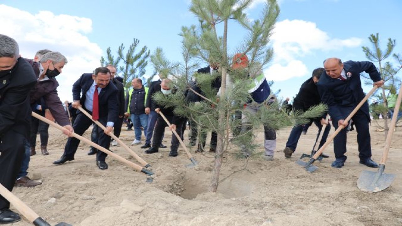 2 bin 83 ağaç dikilerek 10 Kasım Hatıra Ormanı Oluşturuldu