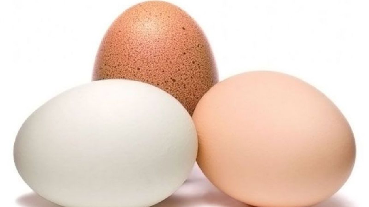 Yumurta Kapıya Dayanana Kadar Bekleyen Burçlar Hangileridir? İşte İşlerini Hep Erteleyen O Burç...