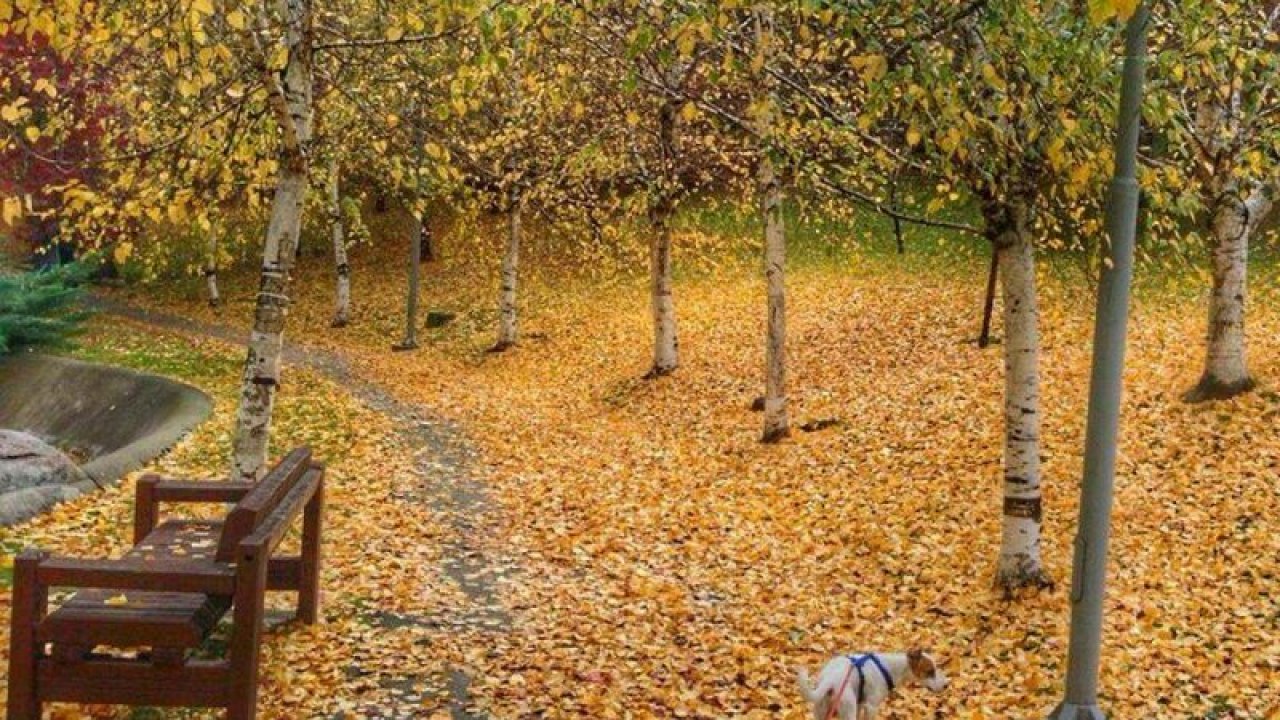 Ankara’da Sonbaharın Eşsiz Köşeleri Belli Oldu! Portakal Çiçeği Parkı, Dikmen Vadisi, Kurtuluş Parkı, Eymir...