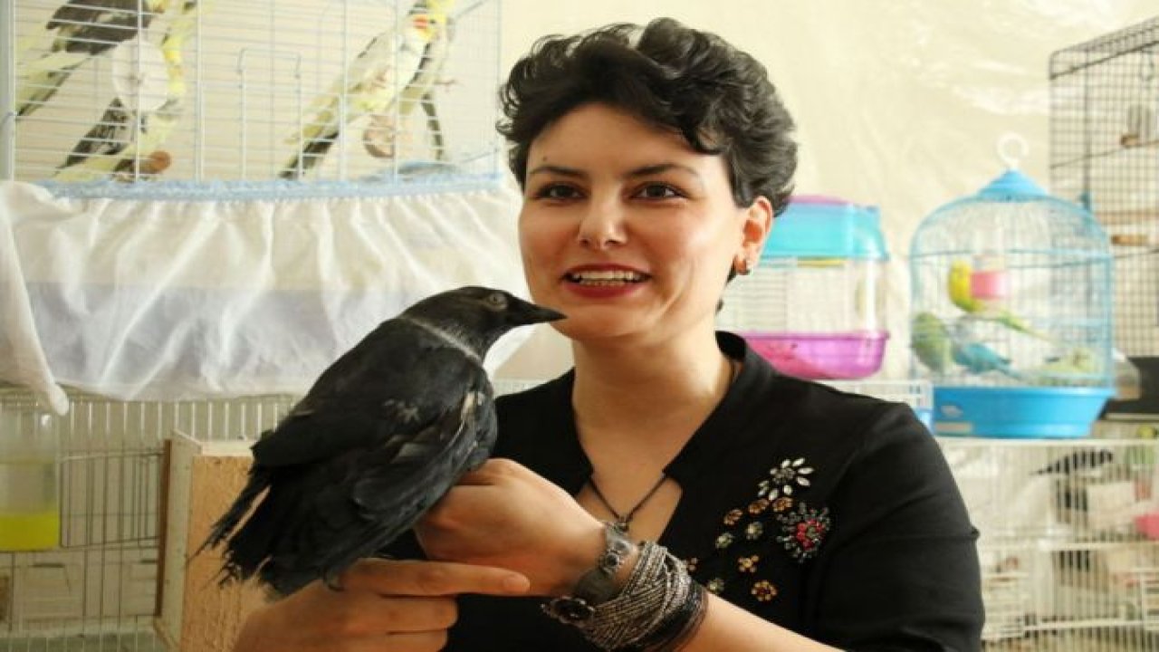 Evinde 200 hayvanla yaşıyor