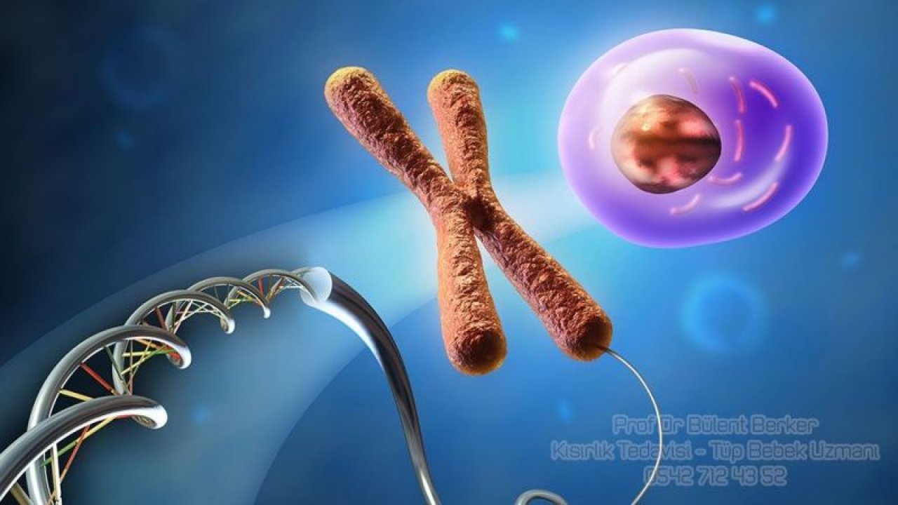 Gen Testleri Tüp Bebekte Başarı Oranını Artırıyor! Preimplantasyon Genetik Tanı (PGD) Nedir?