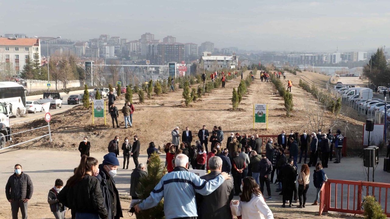 Yenimahalle'de 600 ağaç toprakla buluştu