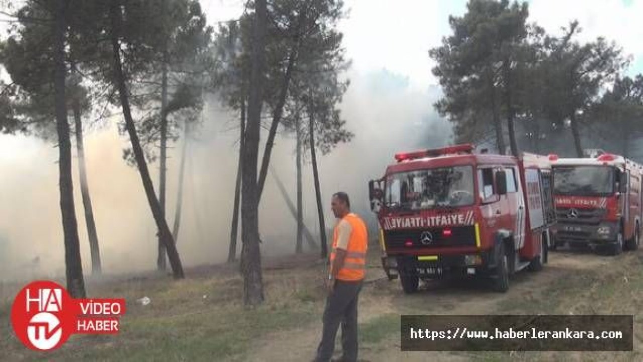 İstanbul Arnavutköy'de Korkutan Yangın!