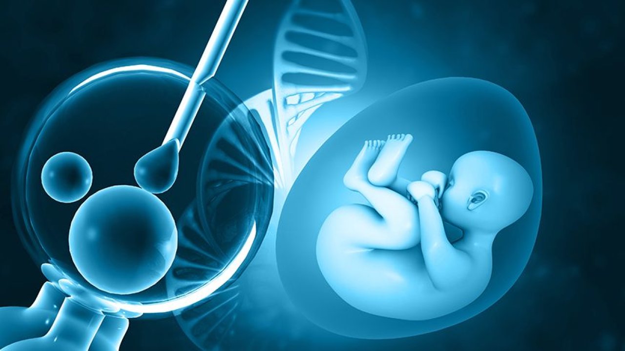 Tüp Bebekte Başarı Şansı Nasıl Artar? Tüp bebek süreci nasıl işliyor? Tüp bebekte sperm kalitesi önemi?