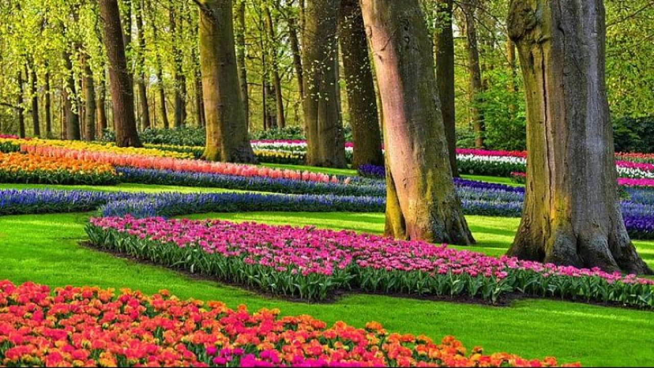 Mayıs Ayında Huzur ve Mutluluğu Bulacak Burçlar Hangisidir? İşte Mayıs'ta Bahar Bahçe Olacak O Burçlar…