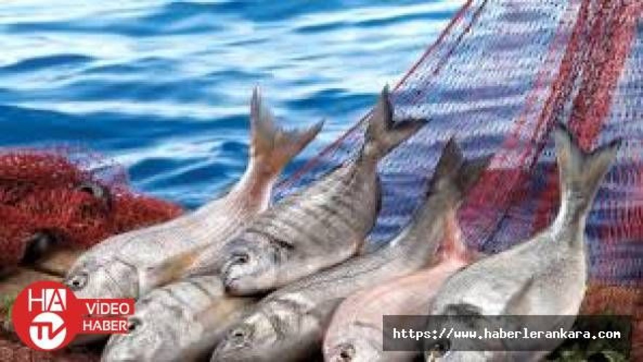 “Balık ihracatımız 1 milyar dolara ulaştı“