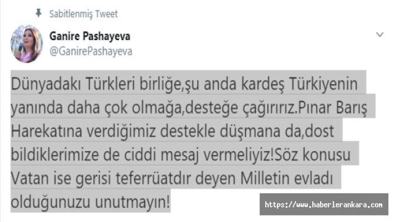 Azeybaycan Milletvekili Ganire Pashayeva Dünya Türklüğü'nü Türkiye'ye desteğe çağırdı