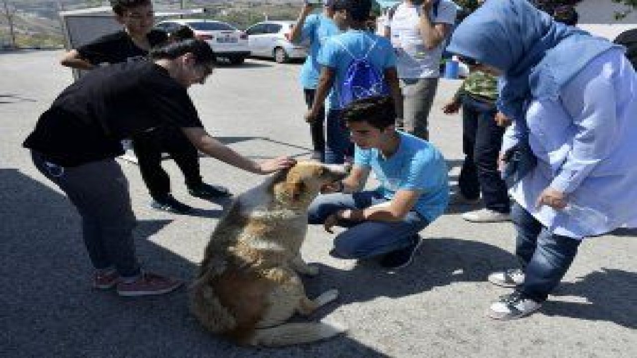Çevre Bilinci ve Barınak Gönüllülüğü Eğitim Projesi