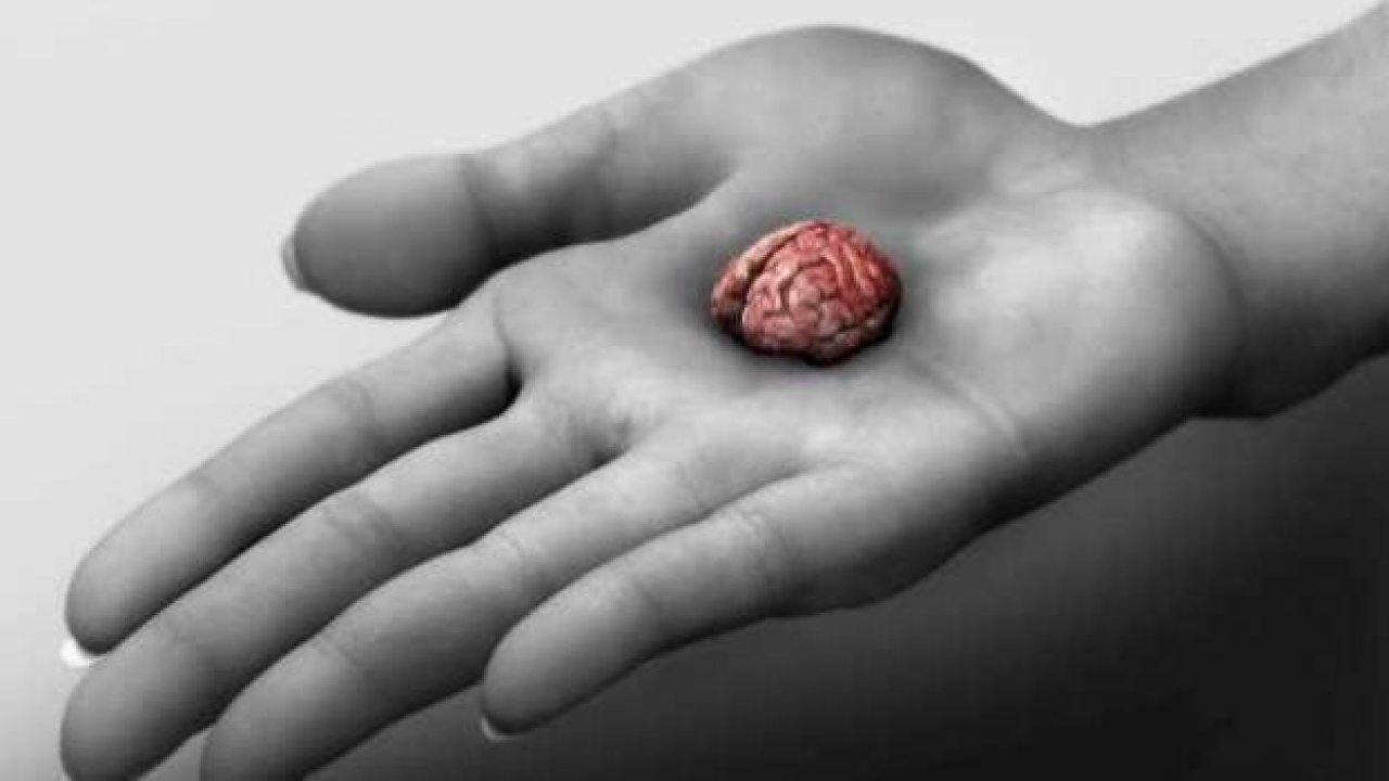 Her gün Tükettiğiniz Bu Besinler Beyninizi Küçültüyor!