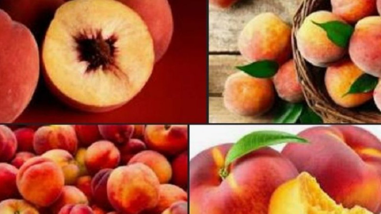 Şeftalinin Mucizevi Faydaları Duyunca Şok Olacaksınız! Şeftali hangi organa iyi gelir?