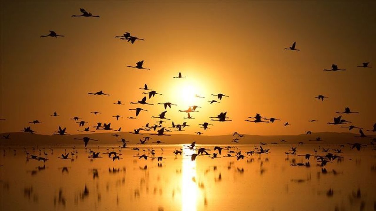 Hangi Burcun Yüreği Kuş Gibi Hafiftir? İşte Huzura Ermiş Olan Mutlu Burçlar…