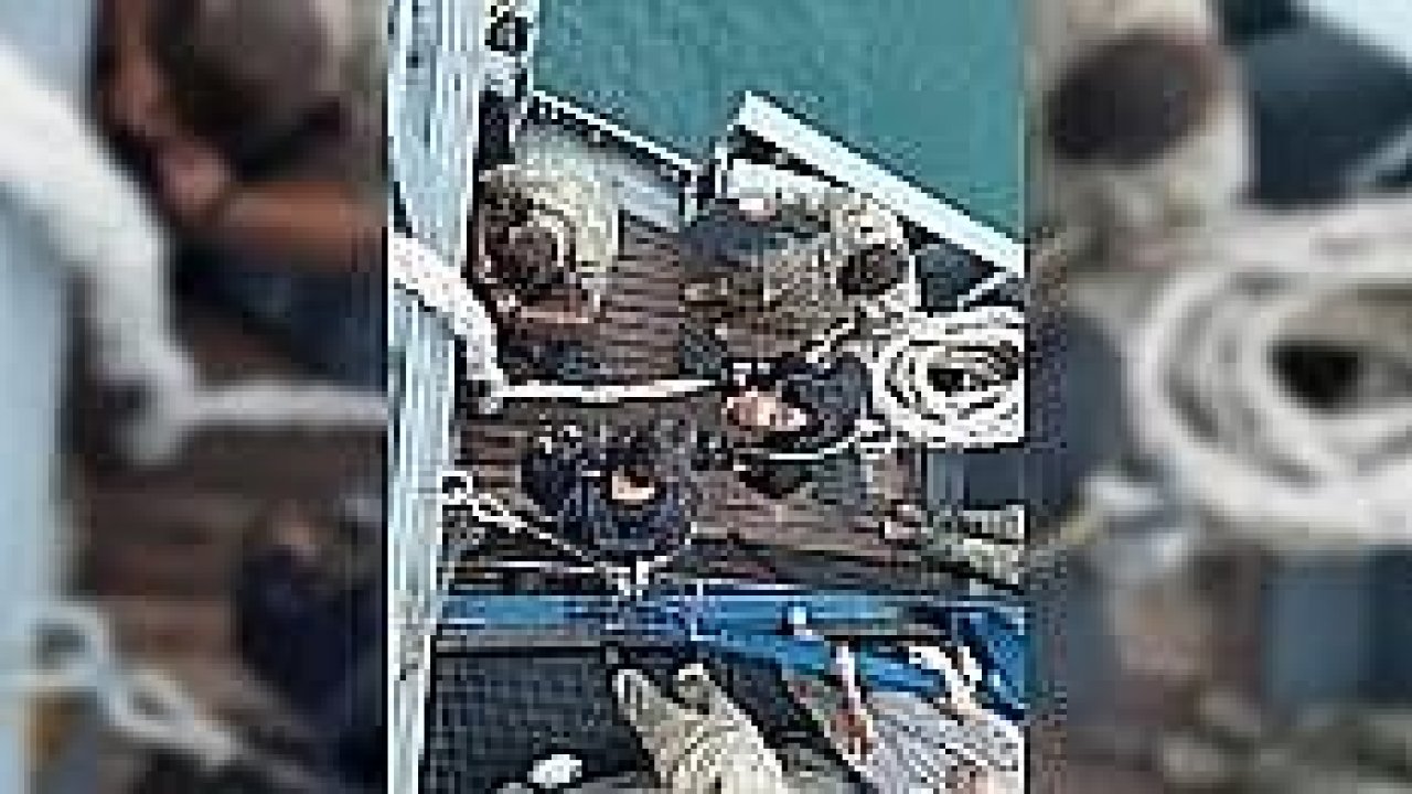 Hazar Denizi'ne düşen uçağın enkazını SAK timi buldu