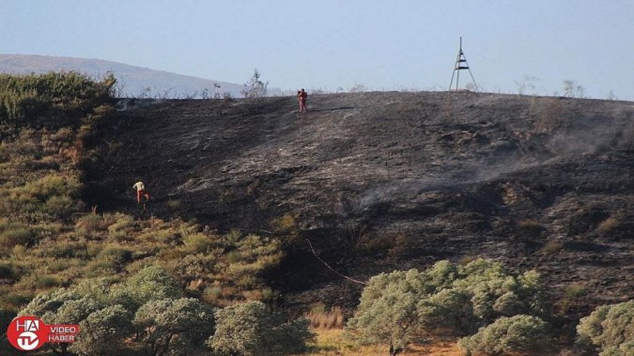 Hatay’da çıkan yangında 4 hektarlık alan kül oldu