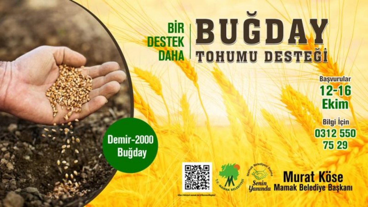 Ankara Haber; Mamak Belediyesi’nden 18 Ton Buğday Tohumu Desteği...
