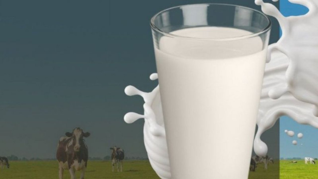 Tarım ve Orman Bakanlığından Çiğ Süt Zammına 'Destek Primi' Katkısı!
