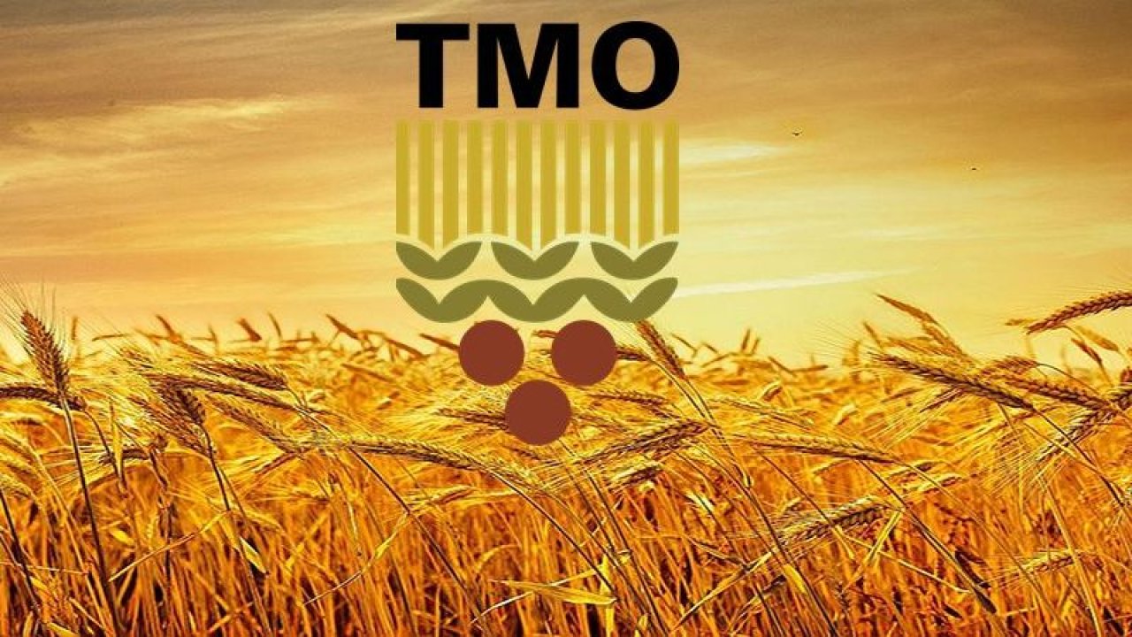 TMO Fiyatları 53 TL'ye Satmaya Başladı!! Ayçiçek Yağı, Fındık, Pirinç, Fasulye, Mercimek, Nohut Fiyatları Düştü! Marketin Katalog İndirimi Bugün Başlattı!