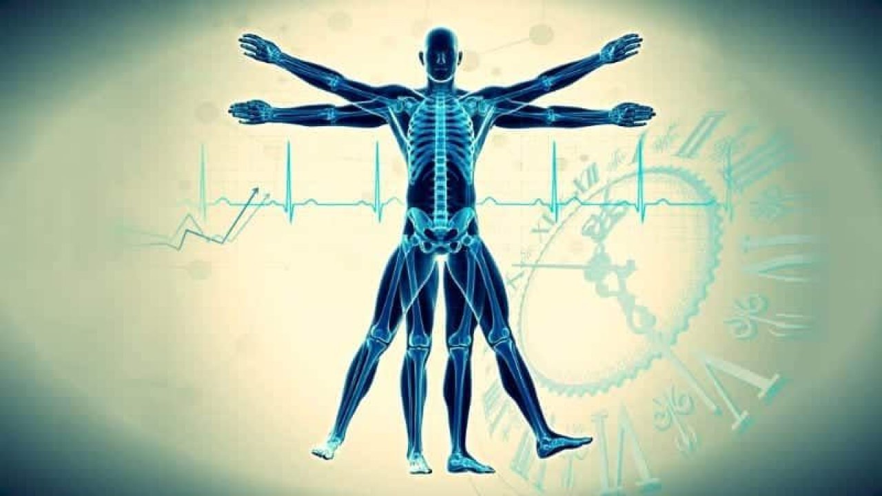 Başarının Sırrı Biyolojik Saatimize Uyum Sağlamak! Peki Biyolojik Saatimiz Nasıl Çalışıyor?